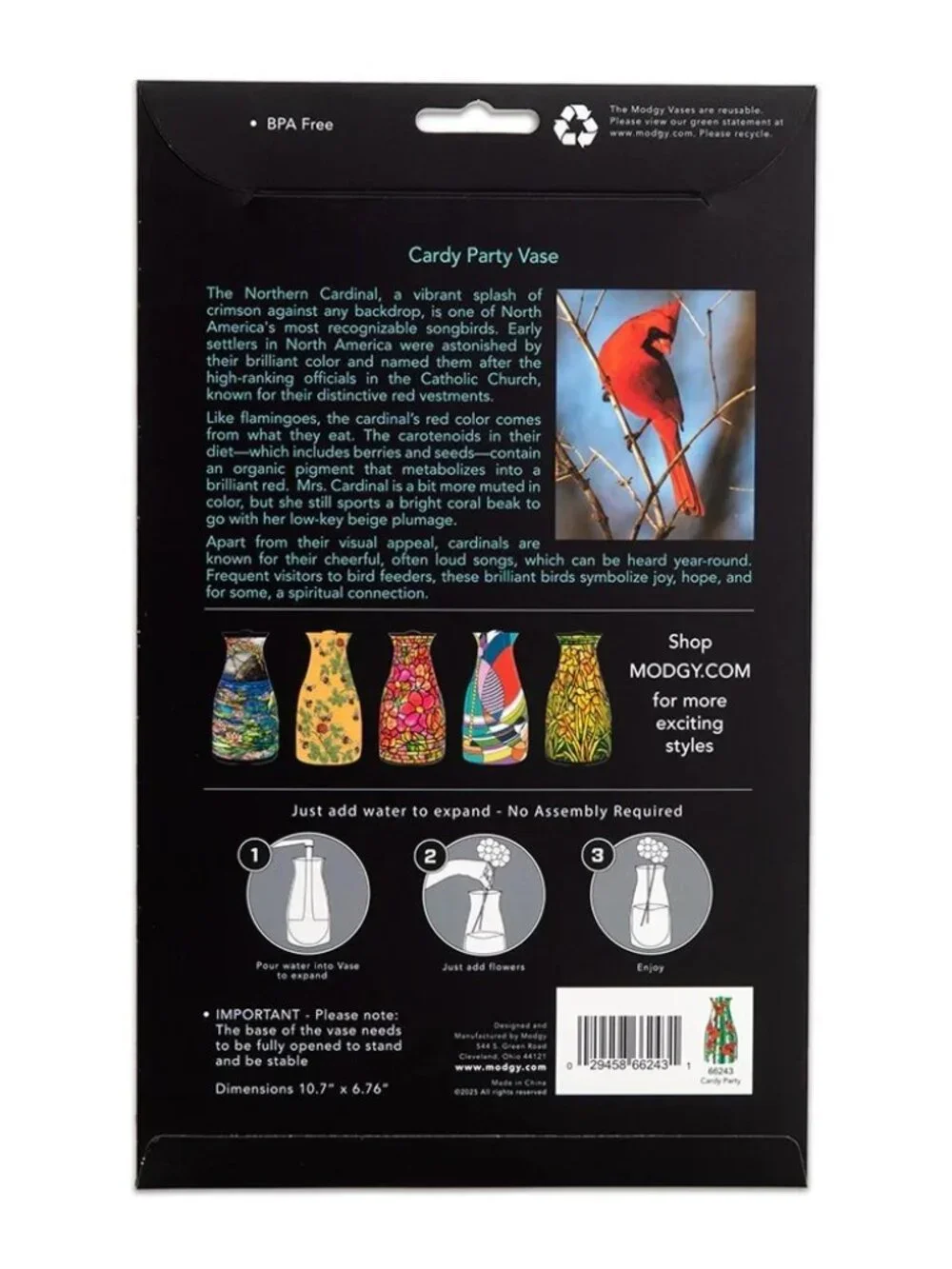 CardyParty (Cardinals) Lrg Decorative Vase By Modgy Made of BPA Free Plastic NIB